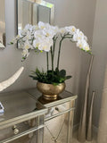 1 Set High Grade Orchids Arrangement Latex Silicon Real Touch Big Size Luxury Table Flower Home Hotel Decor  No Vase