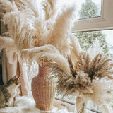 50-60cm Natural Fluffy Large Pampas Grass Wedding Arch Decor Dried Artificial Plants Pampas Home Decoration Outdoor Dry Flower