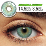 1 Pair Natural Look Brown Colored Contact Lenses  Gray Eye Lenses Green Contact Blue Lenses fashion color lenses