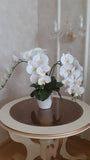 1 Set High Grade Orchids Arrangement Latex Silicon Real Touch Big Size Luxury Table Flower Home Hotel Decor  No Vase