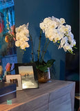 1 Set High Grade Orchids Arrangement Latex Silicon Real Touch Big Size Luxury Table Flower Home Hotel Decor  No Vase