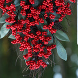 New Arrival: Poinsettia Wreath, Christmas Decoration, Wall Hanging, Artificial Upside-Down Tree, 30x50 cm