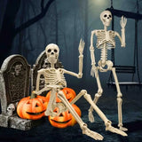 2 Pack 36"Halloween Skeleton - 3 ft Life Size Human Skeleton with Full Body Posable Joints Plastic Skeleton for Halloween Skele