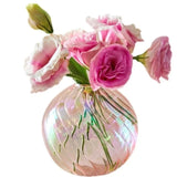 Iridescent Ball Vases Decoration Home Living Room Flower Pot for Interior Glass Vase Tabletop Plants Home Decor Home Vase