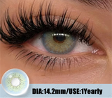 Fashion Colorful Eyes Contacts Colored Contact Lenses Yearly Blue Gray Beauty Pupils Brown Makeup Eyes Lenses 2pcs/pair
