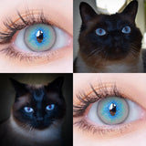 Cosplay Blue Color Contact Lenses for Eyes Yearly Makeup Halloween Beauty Yellow Contact Lenses Eye Cosmetic