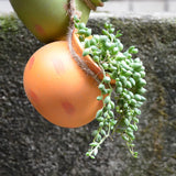 4PCS Outdoor Home Garden Hanging Flowerpot Ceramic Vertical Flowerpot Plant Succulent Flowerpot Vase Wall Railing Decoration
