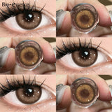 1 Year Colored Contact Lenses Natural Eye Brown Lenses Gray Contact Dolly House Lenses Korean Lenses 1 Pair