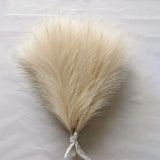 Faux Pampas Grass Beige 10PCS Small Artificial Pompas Grass Decor for Vase Fake Fluffy Pampas Fake Plant Wedding Boho Home Decor