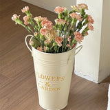 American Style Retro Natural Iron Art Flower Bucket Flower Shop Folk Floral Art Hydroponic Double Ear Vase Flower Set