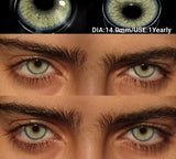 2Pcs Colored Contacts Lenses Natural Blue Gray Beauty Lenses Brown Makeup Lenses Green Eye Contact Yearly Soft Eye Lens