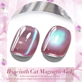 10ml/15ml Hyacinth Cat Magnetic Gel Nail Polish Purple Jelly Glass Shine Soak Off UV Salon Nail Art Home Manicure