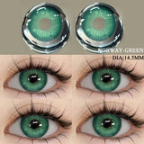 1 Pair Colored Contact Lenses for Eyes Natural Look Brown Eye Lenses Gray Contact Blue Lenses Eye Cosmetics Yearly Use