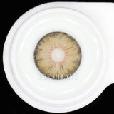 Brown Contact Lenses Honey Brown  Colored Contacts Natural Eye Look Bright Sweet Eyes Soft Yearly Cosmetic Lenses