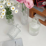 Glass Vase Ins Simple Desktop Decor Bottle Transparent Striped Flower Vases Hydroponic Terrarium Aromatherapy Bottles