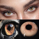 Yearly Disposable Cat Eyes Colored Contact Lenses 1 Pair Grey Brown Natural Small Pupil Beauty Makeup Color Contacts