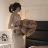 Autumn and Winter New Teddy Rabbit Plush Light Luxury Striped Blanket Cover Blanket