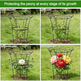 Heavy Duty Peony Cage Plant Support for Outdoor Roses Climbing Vines Rust Resistant Flower Ring Stakes Easy Assembly