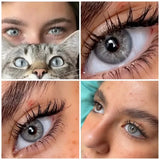 14.20mm Brown Colored Contact Lenses 6-Month Use Soft Limbal Ring Brown Blue Natural Lens For Daily Wear with Free Len