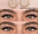 1pair New Color Contact Lenses Blue Eyes Lenses Natural Gray Eye Contact Brown Cosmetic Contact Green Lens 6 Months Use