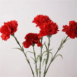 10Pc Moisturizing Latex Carnation Artificial Real Touch Silk Flower Mother's Day Bouquet Gift Wedding Home Party Decor Carnation