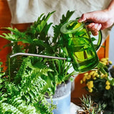 Stainless steel long mouth watering pot household transparent watering pot watering pot watering pot large capacity watering p