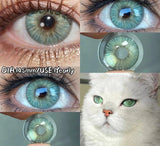 Colored Contacts Lenses with Myopia Naturally Gray Brown Beautiful Pupils with Degree Blue Eyes Lenses Fast Shipping