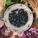 Creative Floral Plate Household Circular Serving Plates High-end Simple Fruit Dessert Dish Nordic Style White Ceramic Tableware