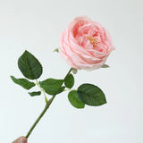 5pcs/lot True Touch Artificial Tea Rose Branch Wedding Floral Simulation Flowers Latex Austin Roses Fake Flower Hotel Decoration