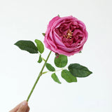 5pcs/lot True Touch Artificial Tea Rose Branch Wedding Floral Simulation Flowers Latex Austin Roses Fake Flower Hotel Decoration