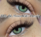 Color Pupils Soft Contact Lenses High Quality Brown Lenses Gray Beauty Pupils Blue Green Colored Lens Yearly Disposable