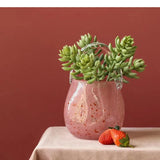 Glass Vase Hand Basket Bag Pink Clear Bottle Terrarium Flower Hydroponics Home Decoration Accessories Vases Pots