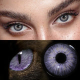 Yearly Disposable Cat Eyes Colored Contact Lenses 1 Pair Grey Brown Natural Small Pupil Beauty Makeup Color Contacts