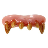 Top Set of Creepy Werewolf Teeth with Fangs