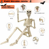2 Pack 36"Halloween Skeleton - 3 ft Life Size Human Skeleton with Full Body Posable Joints Plastic Skeleton for Halloween Skele