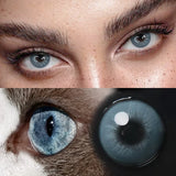 Yearly Disposable Cat Eyes Colored Contact Lenses 1 Pair Grey Brown Natural Small Pupil Beauty Makeup Color Contacts