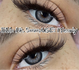 Color Pupils Soft Contact Lenses High Quality Brown Lenses Gray Beauty Pupils Blue Green Colored Lens Yearly Disposable