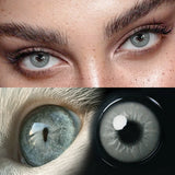 Yearly Disposable Cat Eyes Colored Contact Lenses 1 Pair Grey Brown Natural Small Pupil Beauty Makeup Color Contacts