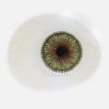 Green Colored Contacts Olive Green Hazel Contact Lenses Charming Bright Exotic Eyes Look