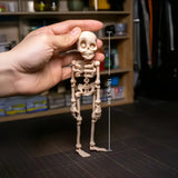 Magnetic Neptune Skull Refrigerator Magnet - Retro Fantasy Theme Movable Joint, Fun Halloween Gift