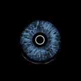 Color Contacts Natural Brown Grey Blue Yearly Disposable Eye Lenses 1 Pair Soft Lens for Dark Eyes Beauty Makeup