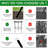 Heavy Duty Peony Cage Plant Support for Outdoor Roses Climbing Vines Rust Resistant Flower Ring Stakes Easy Assembly