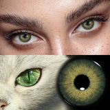 Yearly Disposable Cat Eyes Colored Contact Lenses 1 Pair Grey Brown Natural Small Pupil Beauty Makeup Color Contacts