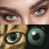 Yearly Disposable Cat Eyes Colored Contact Lenses 1 Pair Grey Brown Natural Small Pupil Beauty Makeup Color Contacts