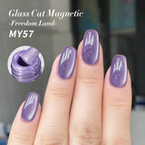 10ml Winter Water Light Cat Magnetic Gel Nail Polish Nail Supplies Vernis Semi Permanent Gel Christmas Xmas Gel