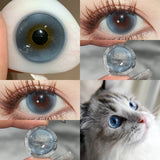 2pcs Half-Yearly Colored Contacts 14.5mm High Moisture Soft Lenses Blue Gray Cosplay Makeup Big Diameter