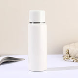 500ml Business Thermal Water Bottle With Temperature Display,Double-layer Stainless Steel Vacuum Flask,Gift,Portable Thermos Cup