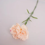 10Pc Moisturizing Latex Carnation Artificial Real Touch Silk Flower Mother's Day Bouquet Gift Wedding Home Party Decor Carnation