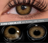2pcs Color Contact Lens for Eyes Chocolate Makeup Lens Natural Blue Gray Eyes Contact Brown Beauty Lenses Green Contact