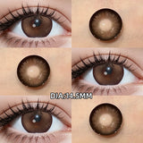 Natural Color Big Diameter Colored Contacts 2pcs High Moisture Half Yearly Lenses 0.00D No Power